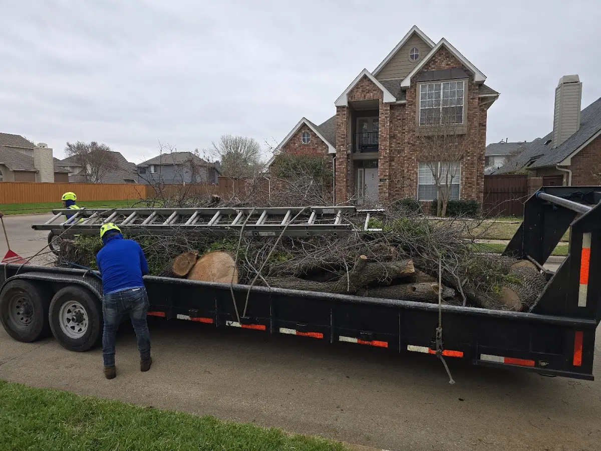 Expert Tree Fertilization with proper safety equipment in Schlater